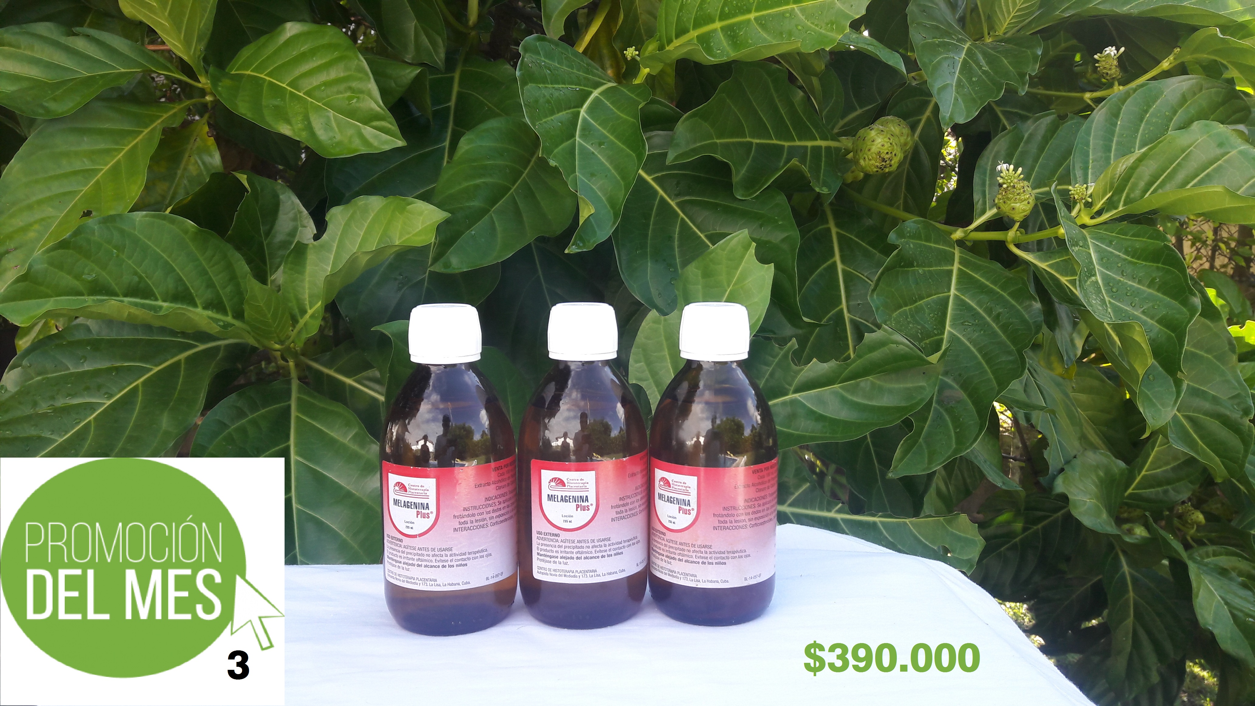 3 MELAGENINAS PLUS ORIGINAL frascos de 235 mL c/u