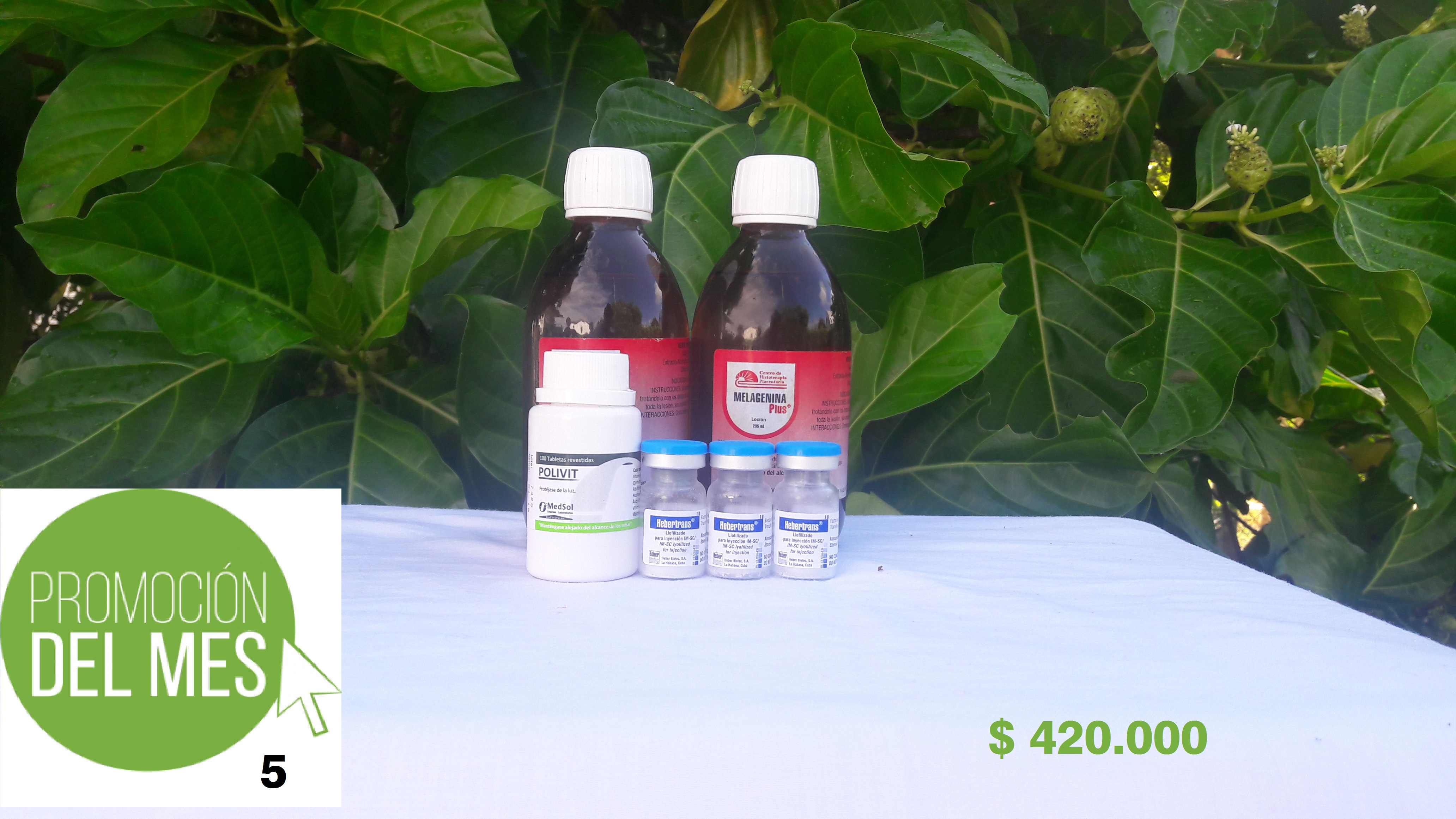 2 MELAGENINAS PLUS ORIGINAL frascos de 235 mL c/u + 1 Multivitaminico POLIVIT tarro de 100 pastillas + 3 Inyecciones de Factor de Transferencia HEBERTRANS
